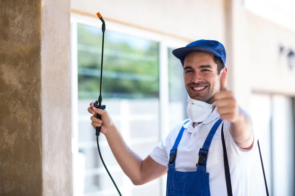 Laguna Niguel Wasp Removal