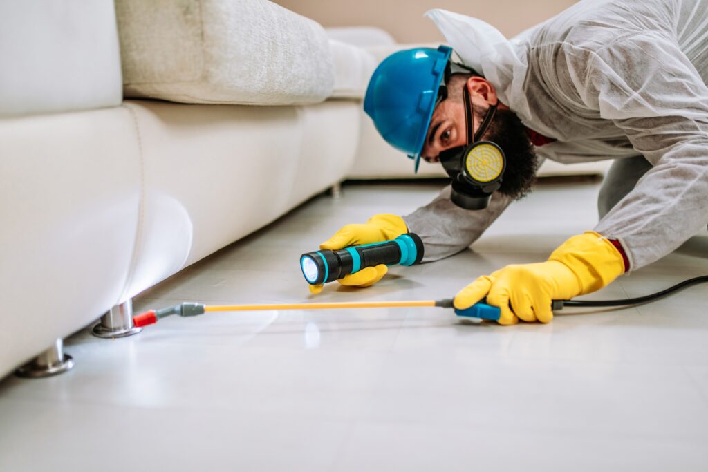 Laguna Niguel Termite Control