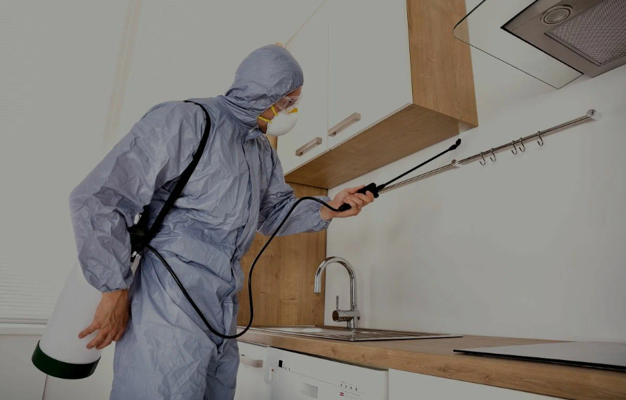 Laguna Niguel pest managment